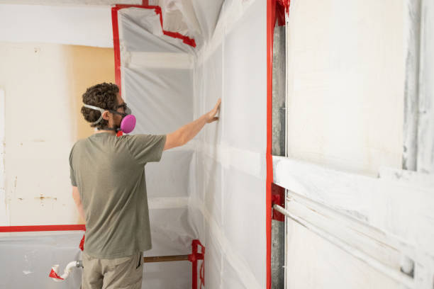 Mold Remediation for Rental Properties in Greenfields, PA